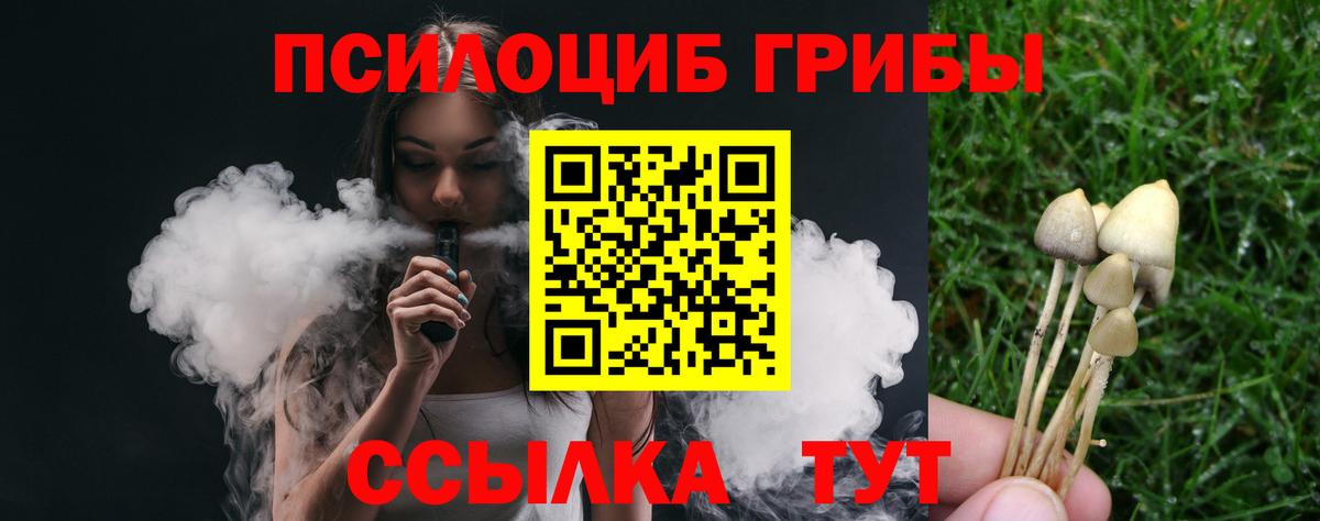 Галлюциногенные грибы прущие грибы Добрянка